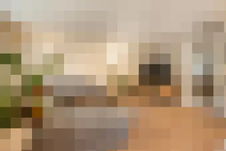 Hardenbroek 14 Vleuten thumbnail 14