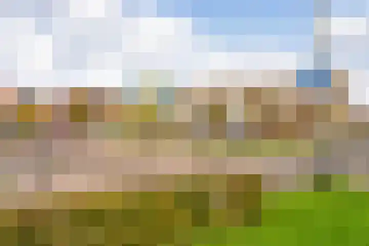 Hardenbroek 14 Vleuten thumbnail 24