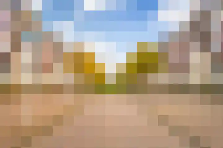 Hardenbroek 14 Vleuten thumbnail 25