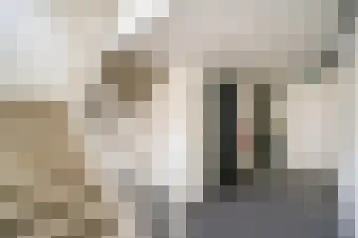 Hardenbroek 14 Vleuten thumbnail 5