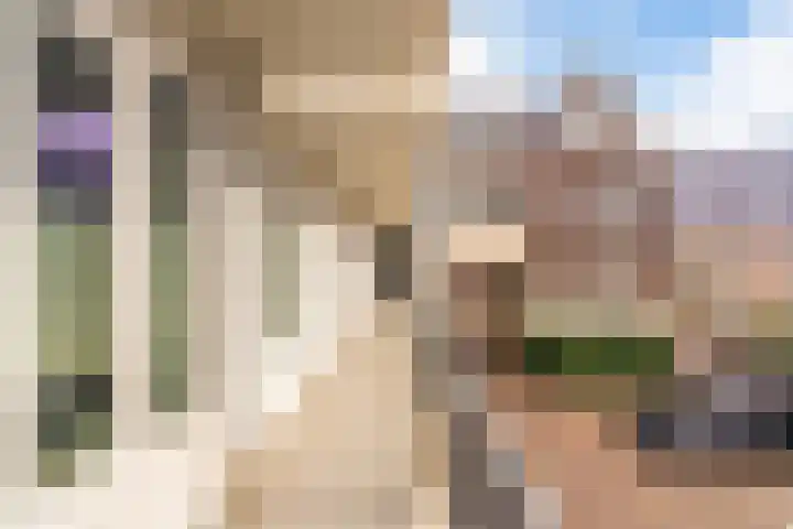 Hardenbroek 14 Vleuten thumbnail 6