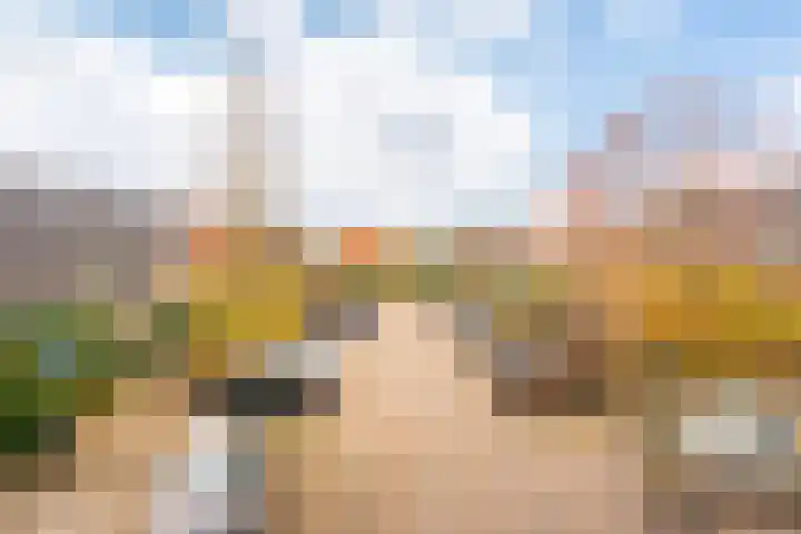 Hardenbroek 14 Vleuten thumbnail 7