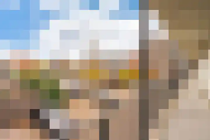 Hardenbroek 14 Vleuten thumbnail 8