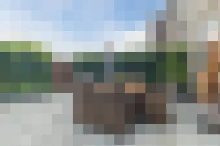 Hardenbroek 146 Vleuten thumbnail 19