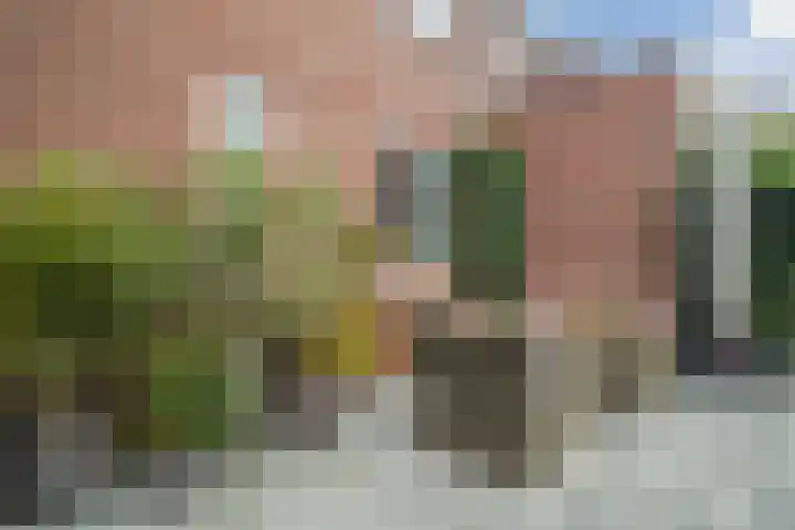 Hardenbroek 146 Vleuten thumbnail 20