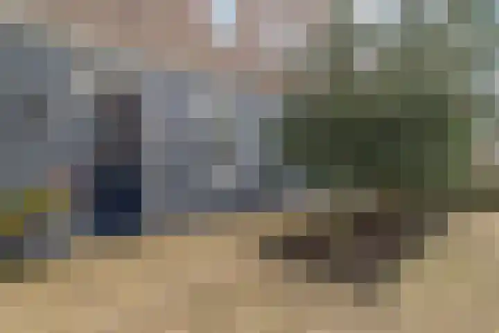 Hardenbroek 146 Vleuten thumbnail 6