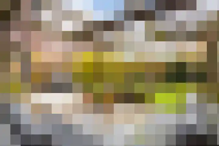 Hardenbroek 160 Vleuten thumbnail 19