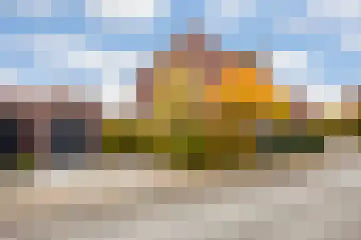 Hardenbroek 160 Vleuten thumbnail 29