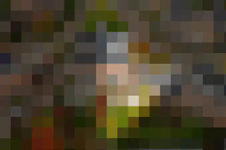 Hardenbroek 160 Vleuten thumbnail 62