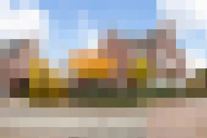 Hardenbroek 160 Vleuten thumbnail 63