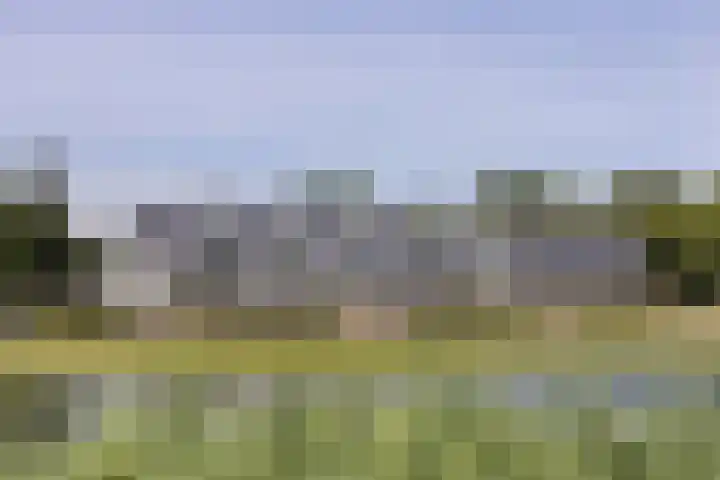 Hardenbroek 160 Vleuten thumbnail 68