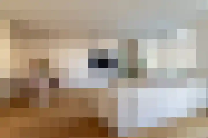 Hardenbroek 28 Vleuten thumbnail 12