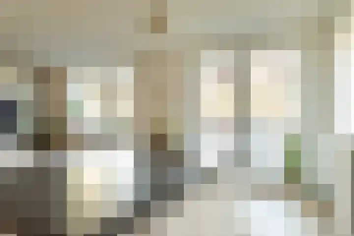 Hardenbroek 28 Vleuten thumbnail 20