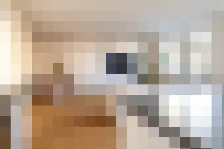 Hardenbroek 28 Vleuten thumbnail 22