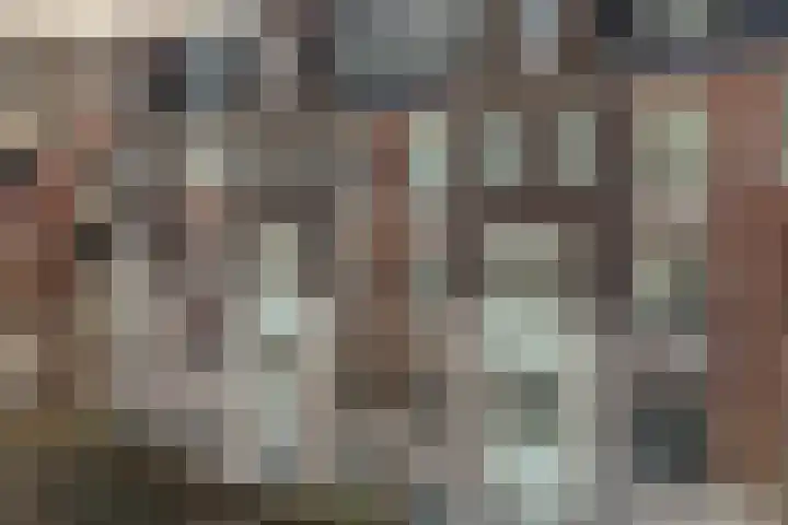 Hardenbroek 28 Vleuten thumbnail 4
