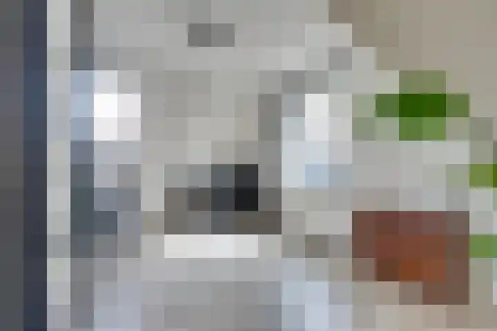 Hardenbroek 51 Vleuten thumbnail 16