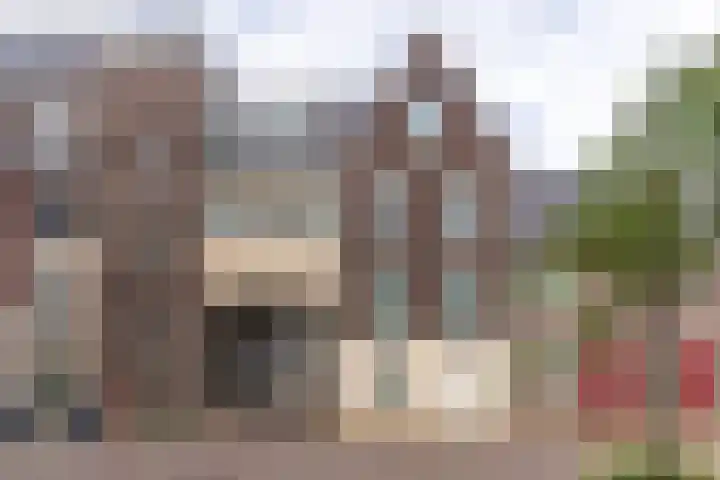 Hardenbroek 51 Vleuten thumbnail 31