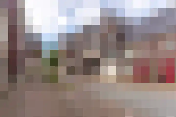 Hardenbroek 51 Vleuten thumbnail 32
