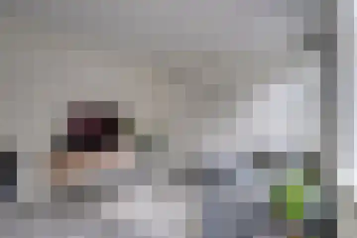 Hardenbroek 64 Vleuten thumbnail 17