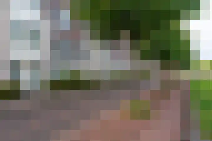 Hardenbroek 64 Vleuten thumbnail 8