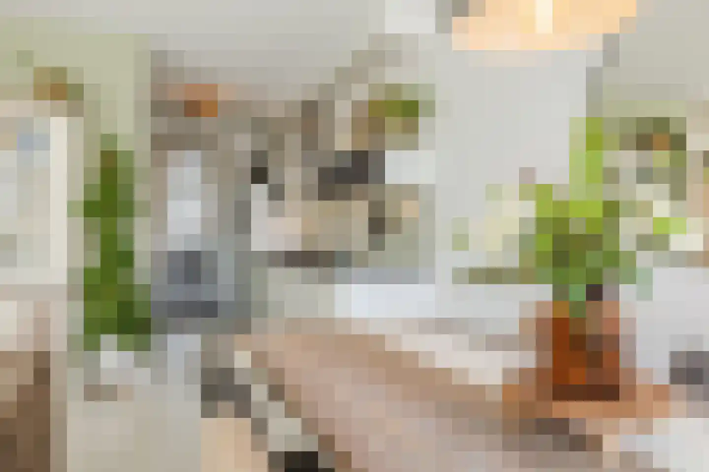 Hardenbroek 75 Vleuten thumbnail 12
