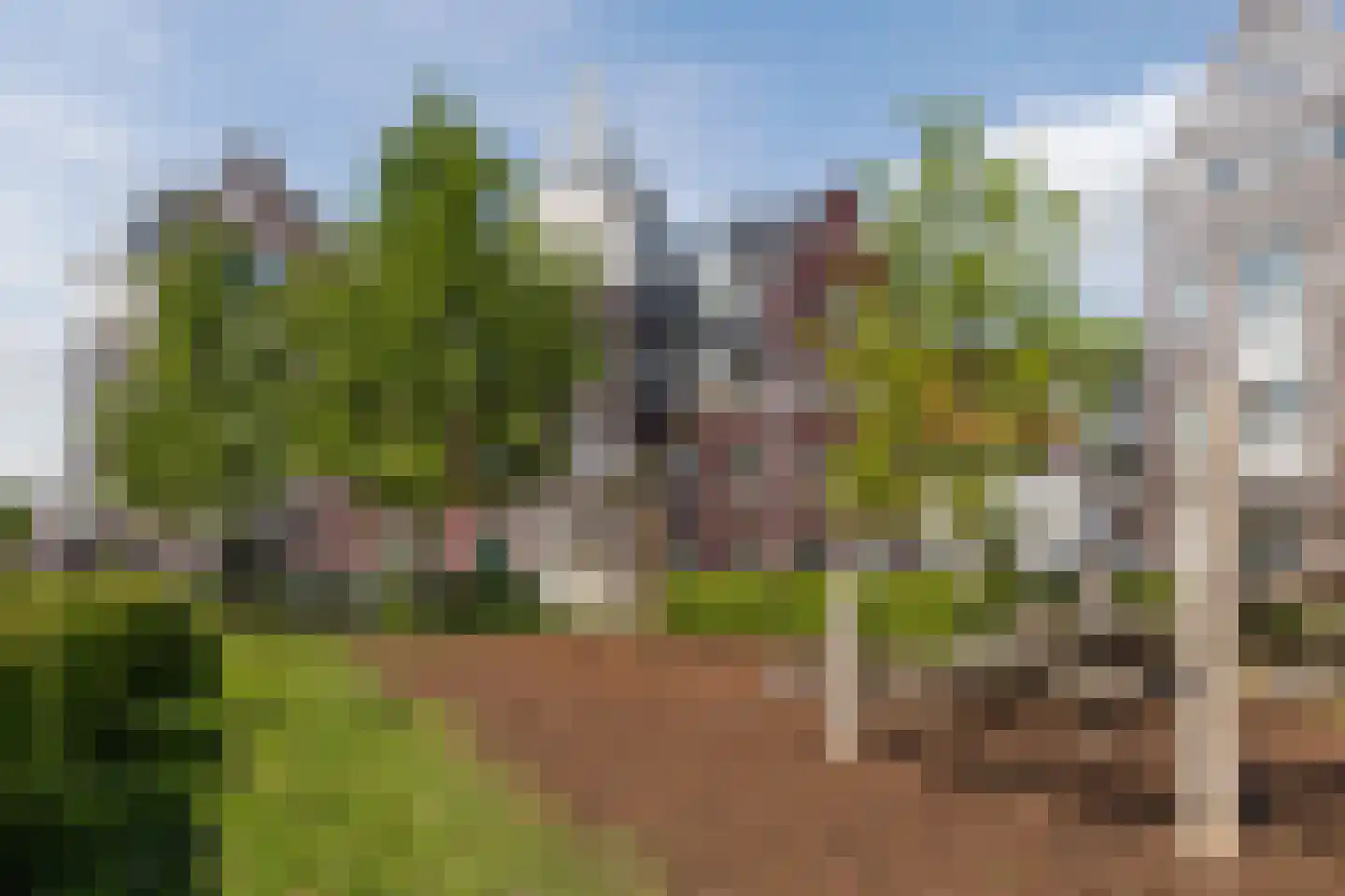 Hardenbroek 75 Vleuten thumbnail 47