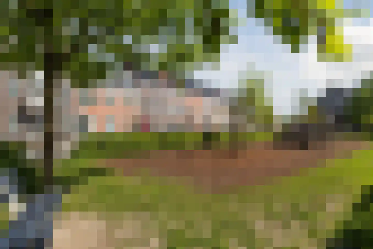 Hardenbroek 75 Vleuten thumbnail 48