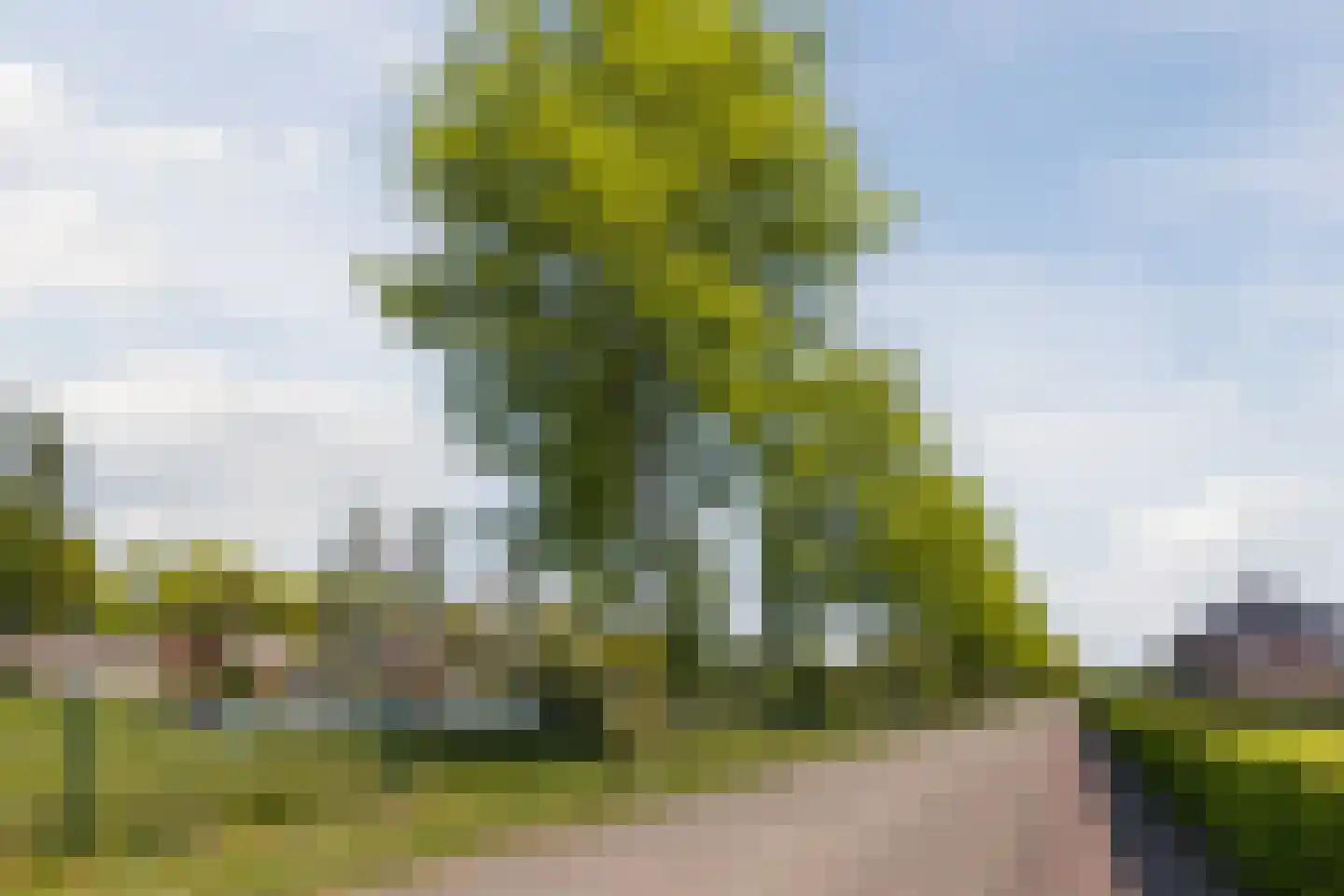 Hardenbroek 75 Vleuten thumbnail 50