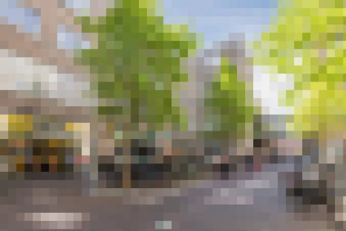Hardenbroek 75 Vleuten thumbnail 51