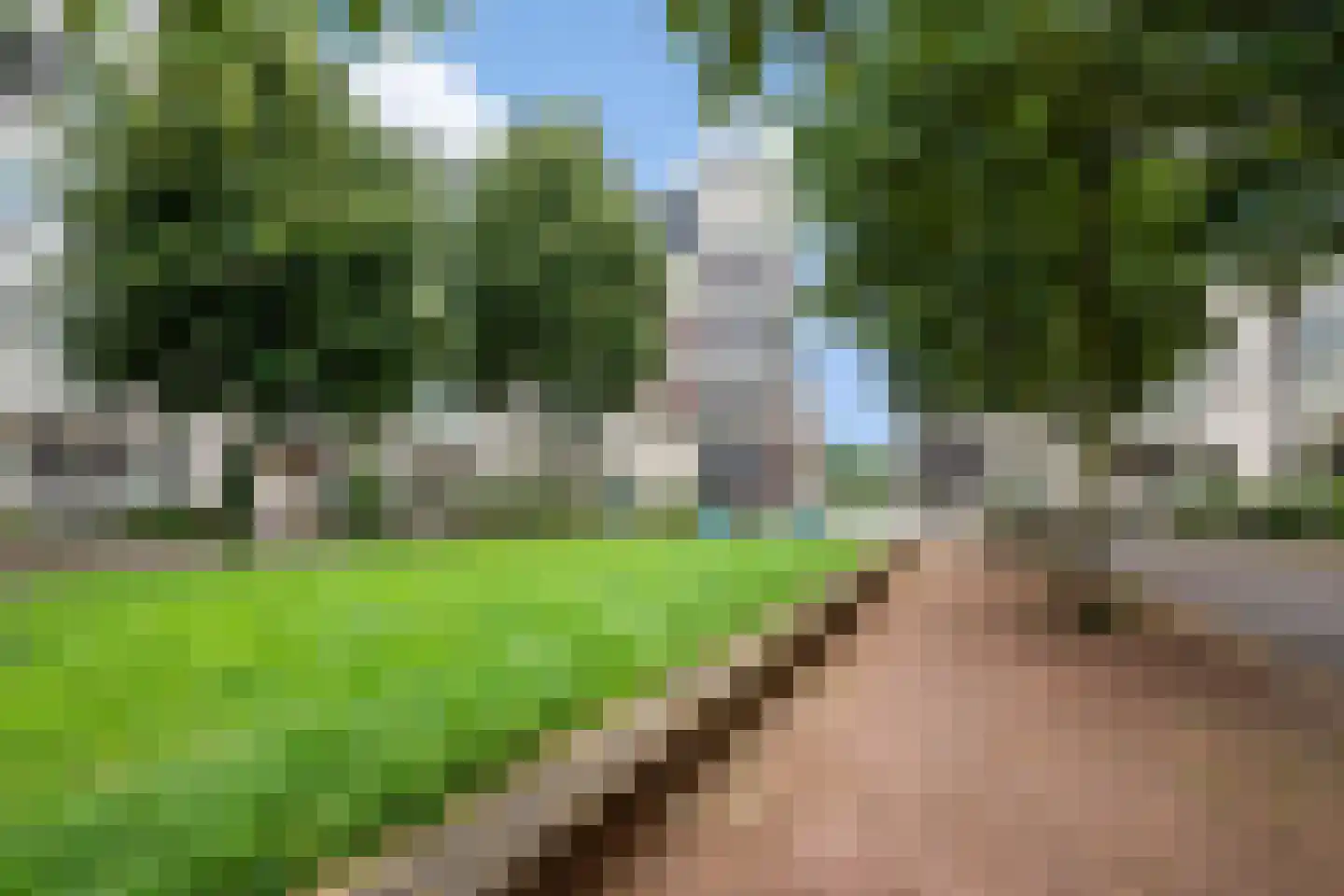 Hardenbroek 87 Vleuten thumbnail 22