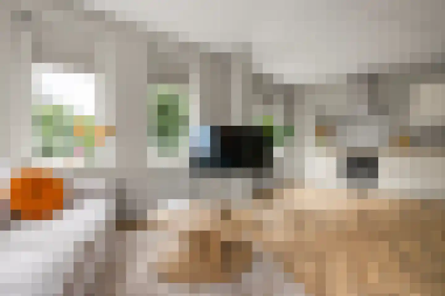 Hardenbroek 87 Vleuten thumbnail 4