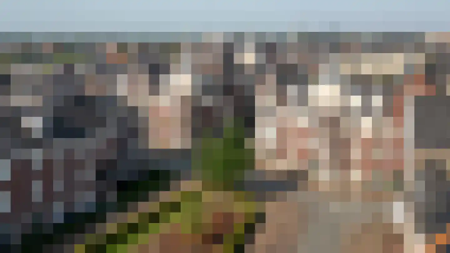 Hardenbroek 96 Vleuten thumbnail 34