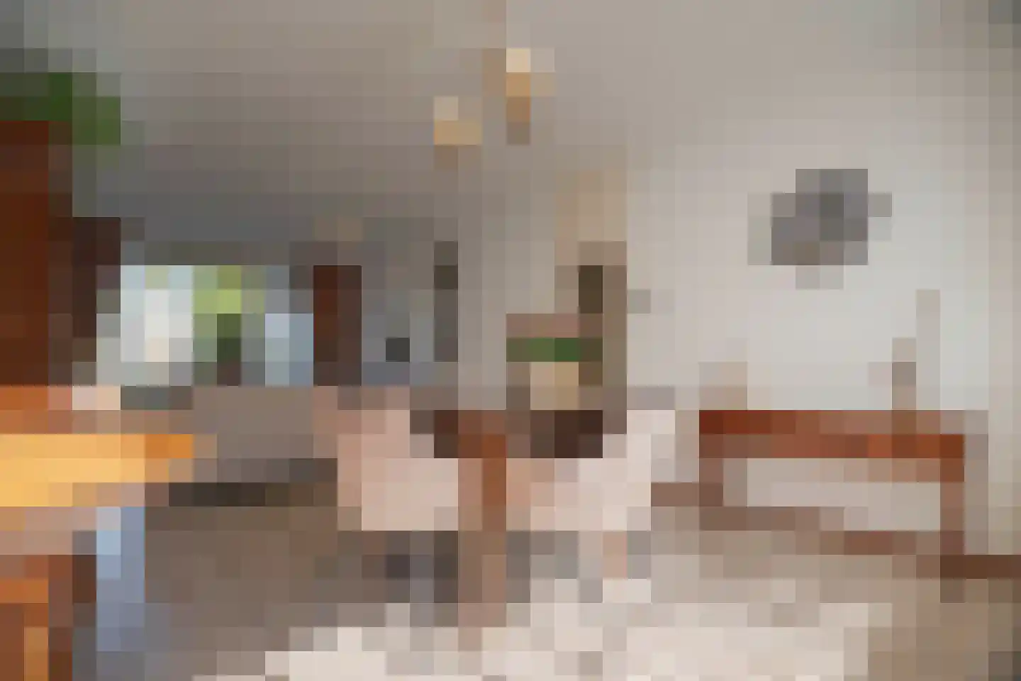 Hardenbroeklaan 22 Arnhem thumbnail 16