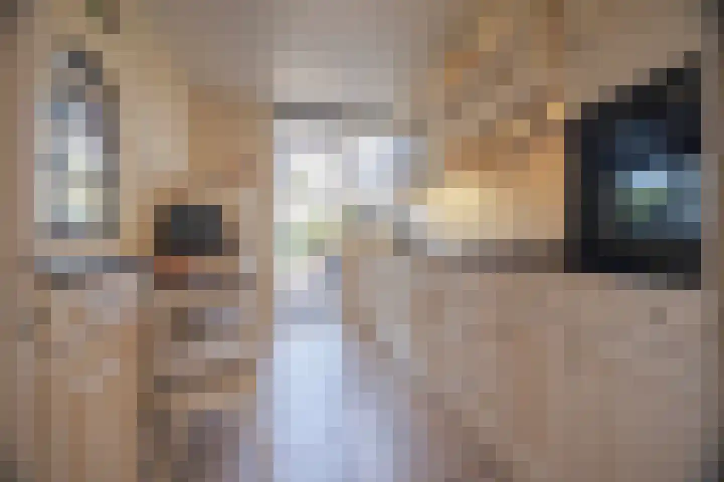 Hardenbroeklaan 22 Arnhem thumbnail 18