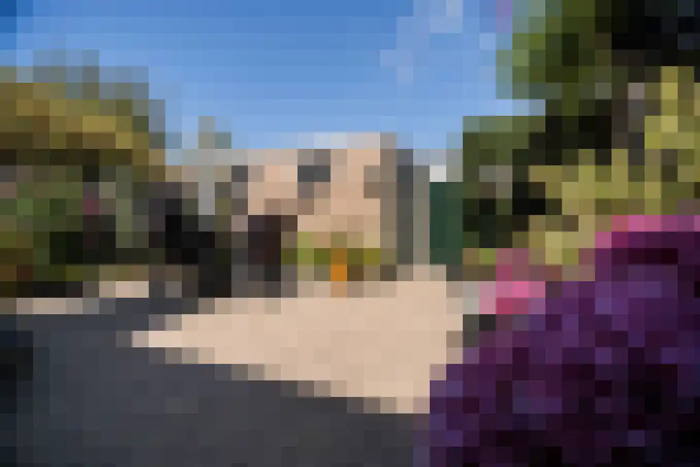 Hardenbroeklaan 22 Arnhem thumbnail 49