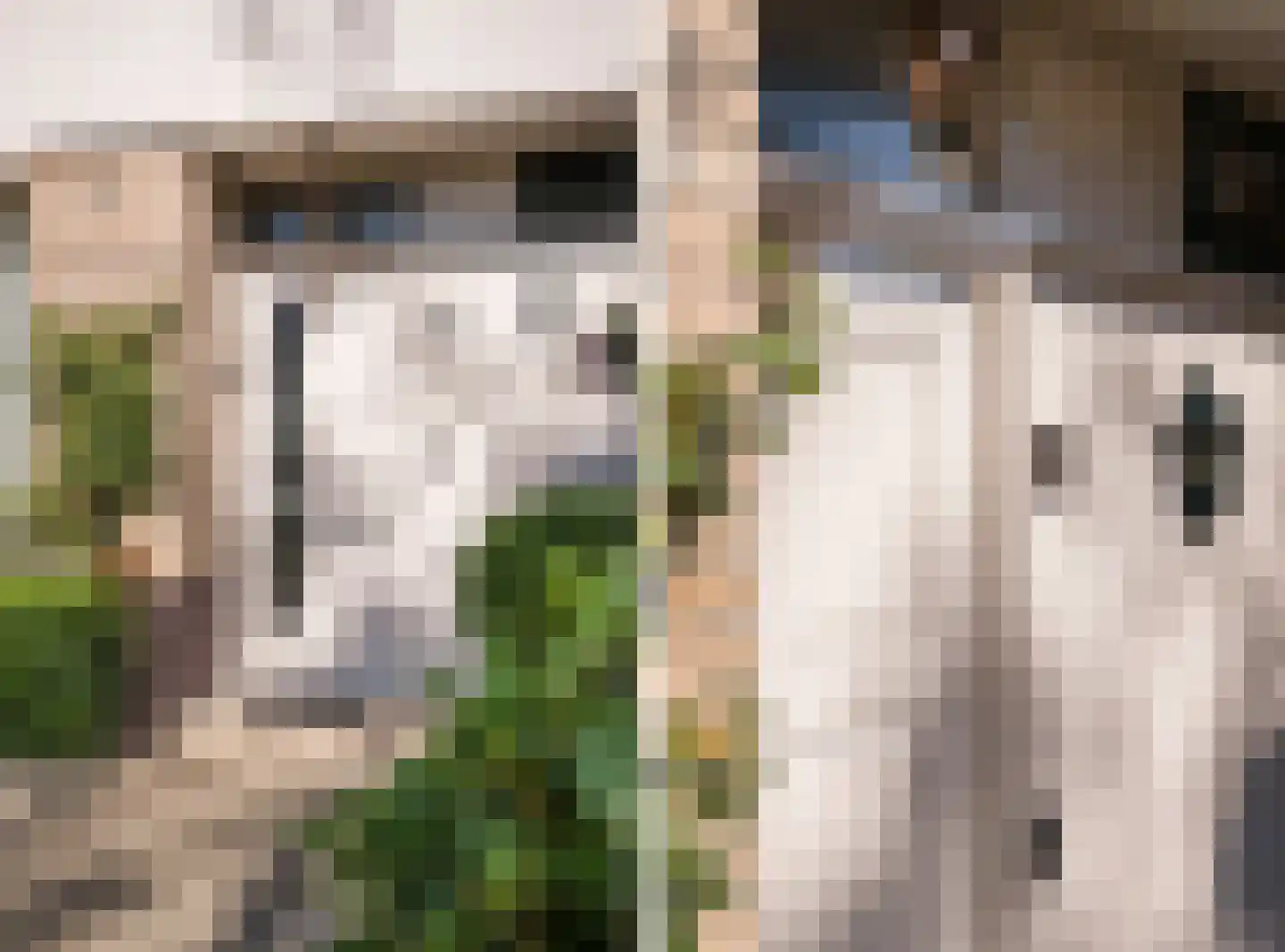 Hardenbroeklaan 22 Arnhem thumbnail 8