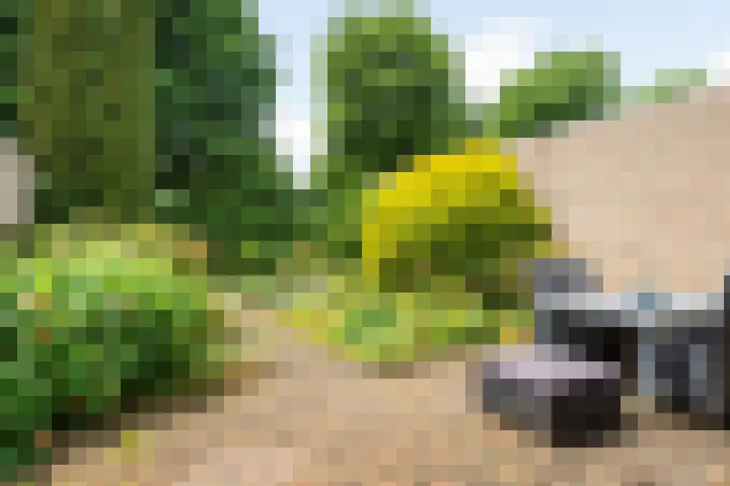Hardenbroeklaan 3 Arnhem thumbnail 17