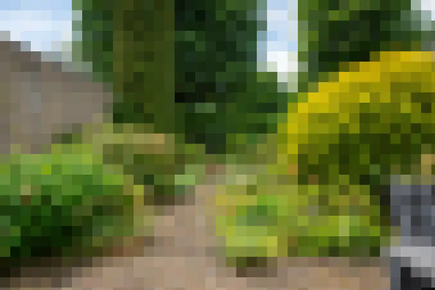 Hardenbroeklaan 3 Arnhem thumbnail 18