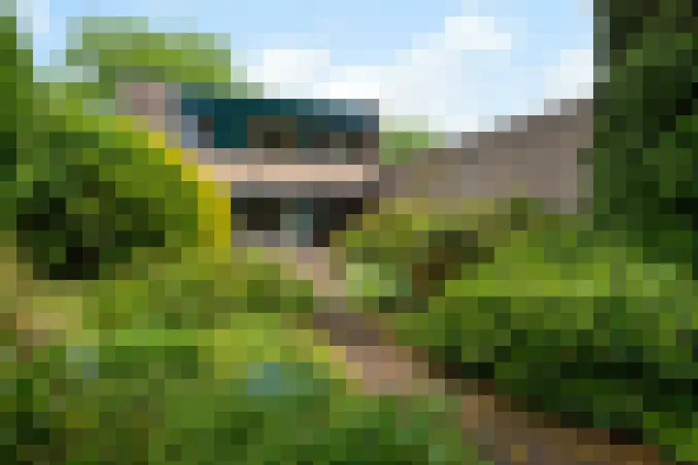 Hardenbroeklaan 3 Arnhem thumbnail 20