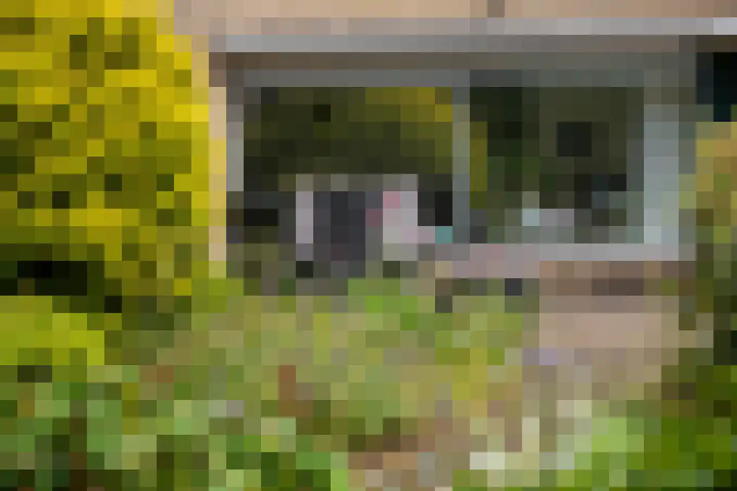 Hardenbroeklaan 3 Arnhem thumbnail 21