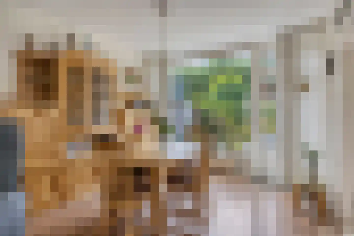 Hardenbroekstraat 16 Breda thumbnail 5