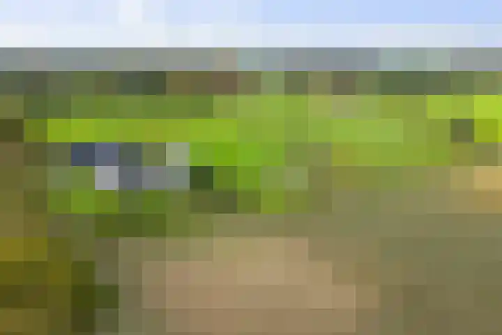 Hardermaat 12 Barchem thumbnail 10