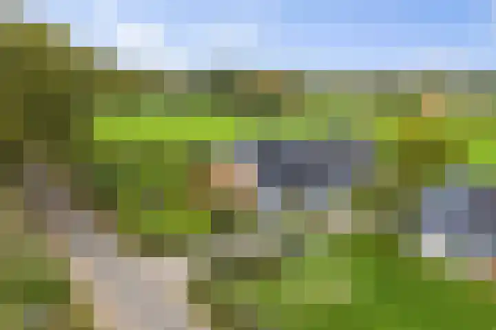 Hardermaat 12 Barchem thumbnail 12