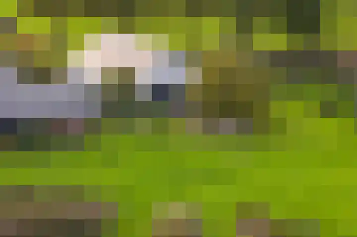 Hardermaat 12 Barchem thumbnail 14