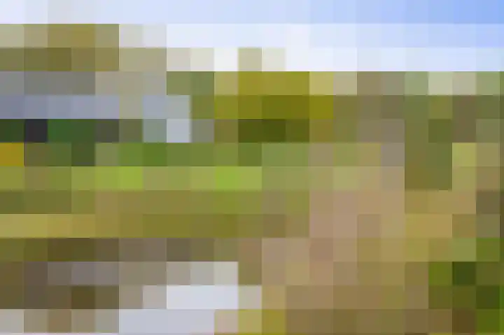 Hardermaat 12 Barchem thumbnail 17