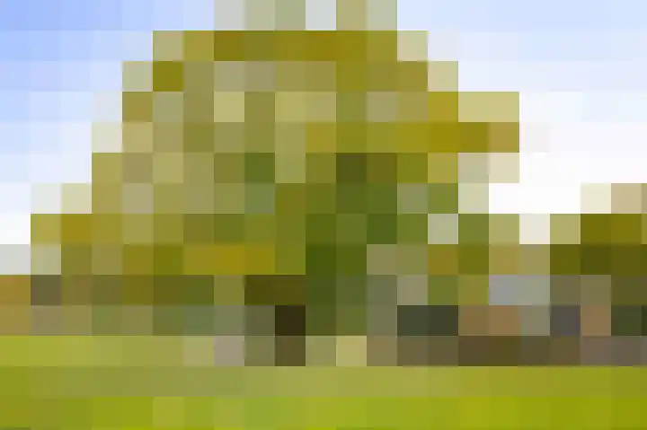 Hardermaat 12 Barchem thumbnail 18