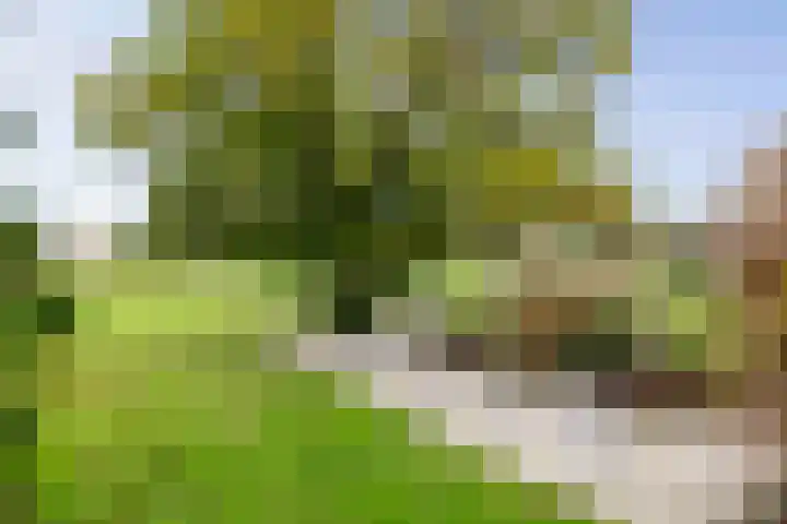 Hardermaat 12 Barchem thumbnail 19