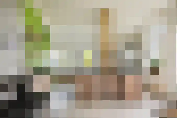 Hardermaat 12 Barchem thumbnail 25