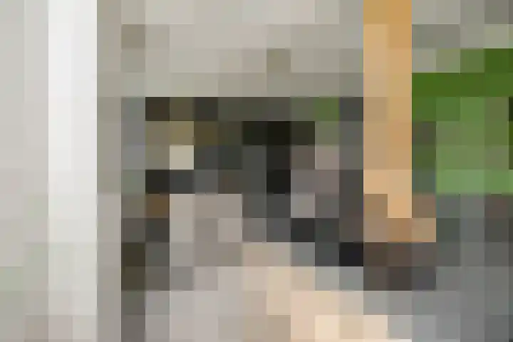 Hardermaat 12 Barchem thumbnail 27