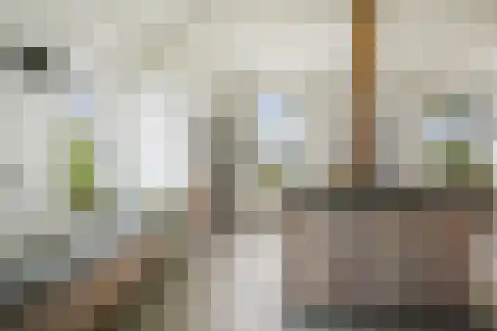 Hardermaat 12 Barchem thumbnail 28